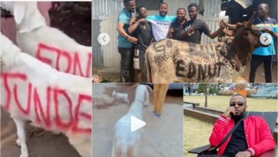 Tunde Ednut challenges Obi Cubana as he receives over 200 cows & sheep for his birthday celebration (Photos)