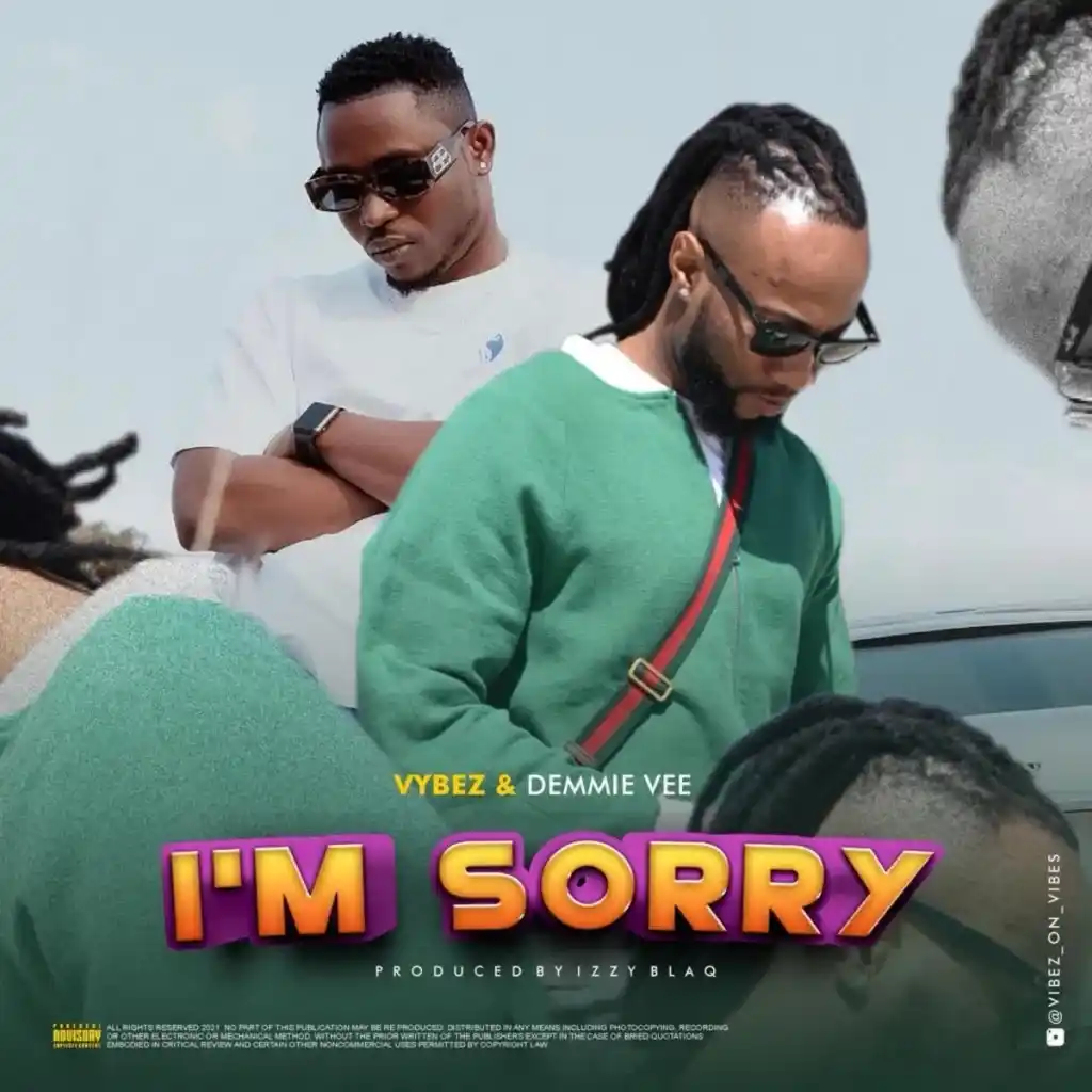 Vybez Visionz – I’m Sorry Ft. Demmie Vee