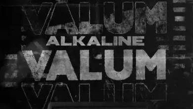 Alkaline – Valum