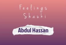 Abdul Hassan - Feelings Shauki