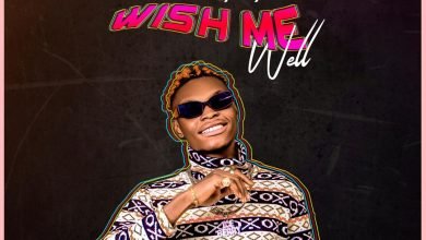 CoallyBerry - Wish Me Well [Mp3 Download]