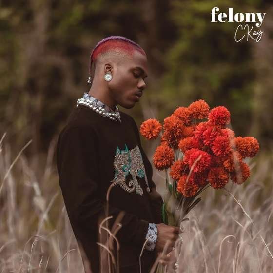 Ckay – Felony [Mp3 Download]