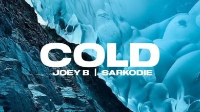 Joey B Cold Sarkodie Download