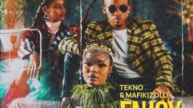 Tekno – Enjoy (Remix) Ft. Mafikizolo