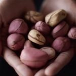 Avoid Eating Kola-Nut If You Have Any Of These 5 Health Conditions.