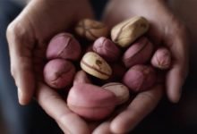 Avoid Eating Kola-Nut If You Have Any Of These 5 Health Conditions.