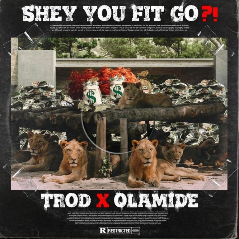 Trod ft. Olamide – Shey You Fit Go?