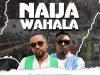 Daddy Smith Ft. Eedris Abdulkareem – Naija Wahala [Remix]