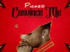 Picazo – Convince Me