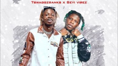 Tswaggz Banks – Survival ft. Seyi Vibez