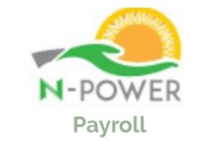 What Payroll Means In Npower Volunteers Dashboard