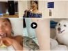 Tonto Dikeh Screams As Her Dog “S€xually” Asaults Her During Live Video, Leaves Her With Injuries