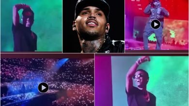 Epic moment Chris Brown storms Wizkid’s #MadeInLagos concert at O2 Arena London (Video)