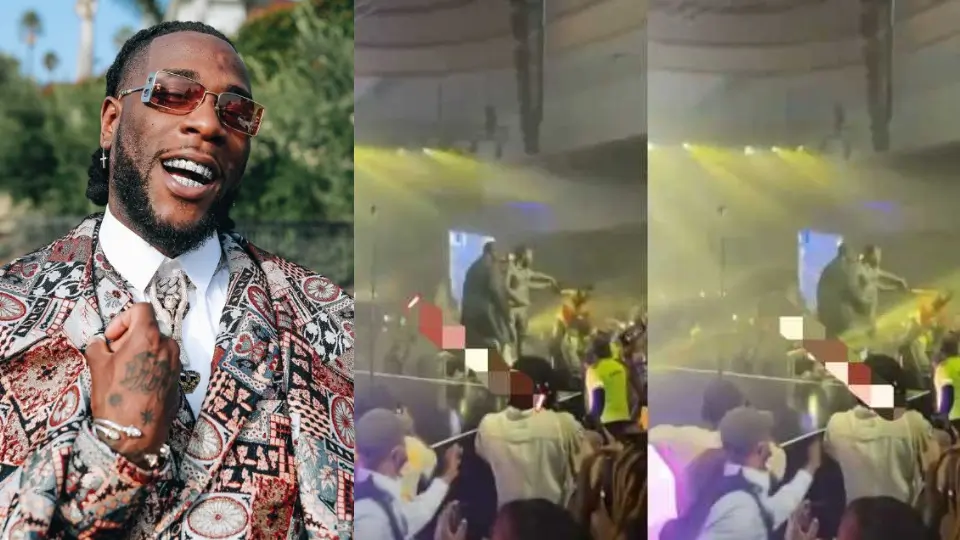 The moment Burna Boy pushed an excited fan who jumped at him on stage (video)