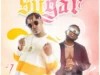 Jaywon Ft. Jaywillz – Sugar