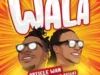 Article Wan – Wala Ft. Prince Bright