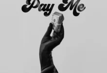 Panaache - Pay For Me ft. T.I Blaze