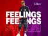 T.I Blaze — Feelings