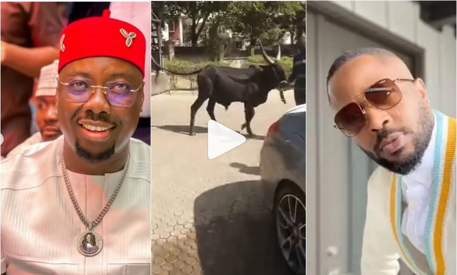 Billionaire, Obi Cubana gifts Tunde Ednut N5 million and six cows for his birthday (WATCH)