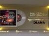 Adam A Zango - Diana (Official Audio) 2022