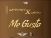Rayvanny – Me Gusta Ft. Davido