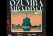 Reekado Banks – Ozumba Mbadiwe (Remix) Ft. Fireboy DML