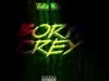 Shatta Wale – Born Crey