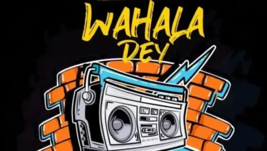 Dremo – Wahala Dey (Remix) Ft. Tra-marlee
