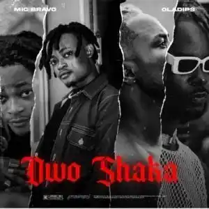 Mic bravo Ft. Oladips – Owo shaka