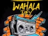 Dremo & Tra.Marlee – Wahala Dey (Remix)