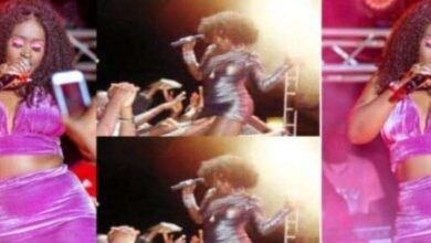 Female singer slapped fan who was filming her Underwear while Performing on stage (WATCH)
