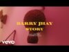 Barry Jhay – Story (Video)
