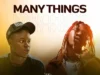 Zhips – Many Thing Ft. Seyi Vibez