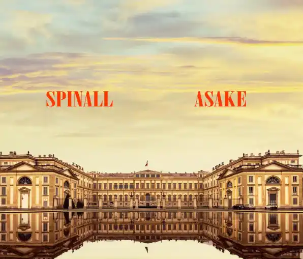 DJ Spinall – Palazzo Ft. Asake