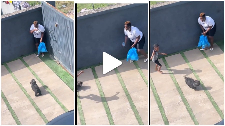 “Warri don carry last for this one o” – Reactions as comedian Real Warri Pikin fears little Dog at Bovi's home (Watch)