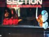 Kranium – Section