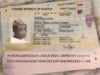 Oladips – Ajala Travel (Street Remix) Feat. Portable
