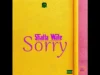 Shatta Wale – Sorry