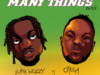 Superwozzy – Many Things (Remix) Feat. Otega