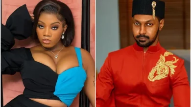 BBNaija Reunion: Her flirting attitude scared me – Yousef discloses why he withdrew from angel