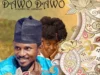Naziru Sarkin Waka – Dawo Dawo (LABARINA)