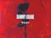 Dammy Krane – Want