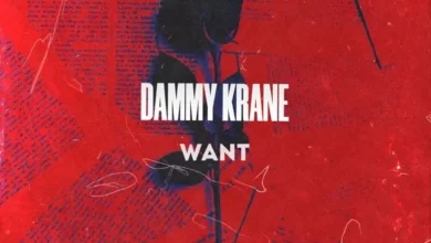 Dammy Krane – Want