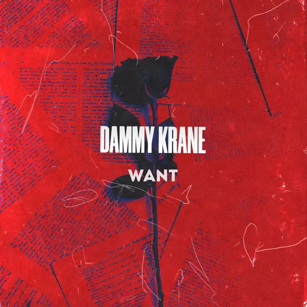 Dammy Krane – Want