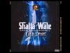 Shatta Wale – Cold Store