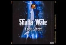 Shatta Wale – Cold Store