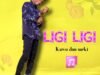 Kawu Dan Sarki – LIGI LIGI