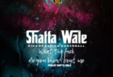 Shatta Wale – What Do You Know About Me