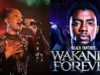 Tems – No Woman No Cry (Black Panther) Wakanda Forever